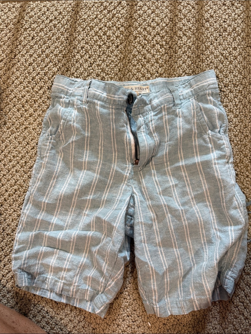Striped Light Blue Men’s Flat Front Shorts - organic